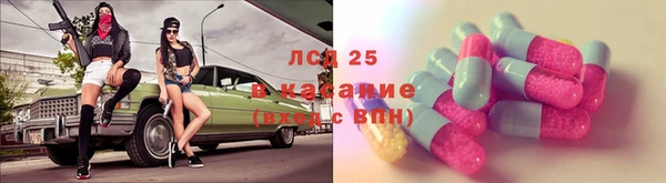 спиды Абаза