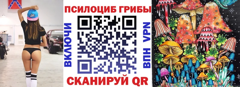 shop клад  мега зеркало  Советский  Псилоцибиновые грибы прущие грибы 